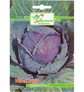 Varza Rosie Langedijker Bewaar 2